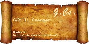 Gáli Csenger névjegykártya